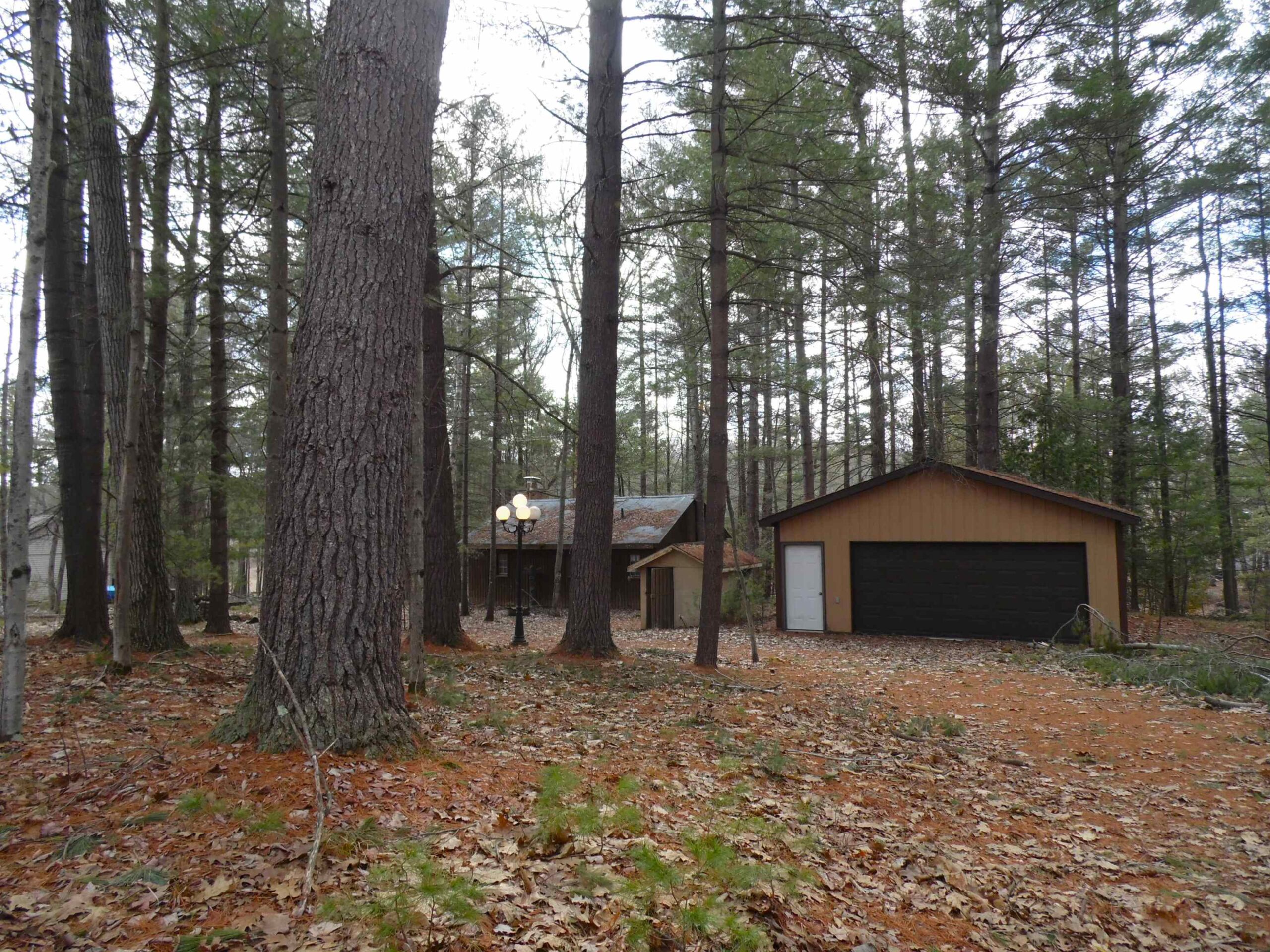 1741 Whitney, Beaverton, MI