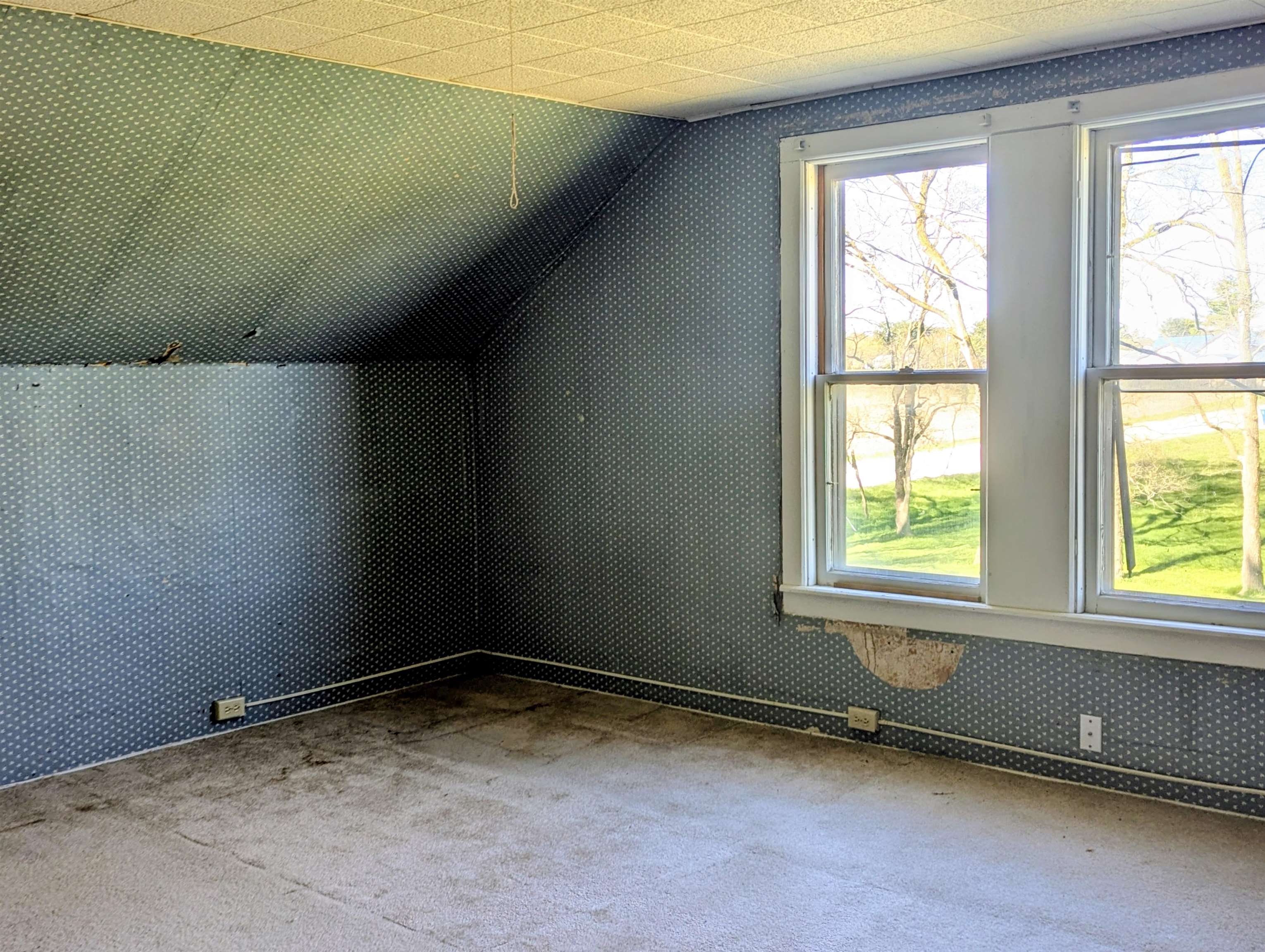 50207656--14