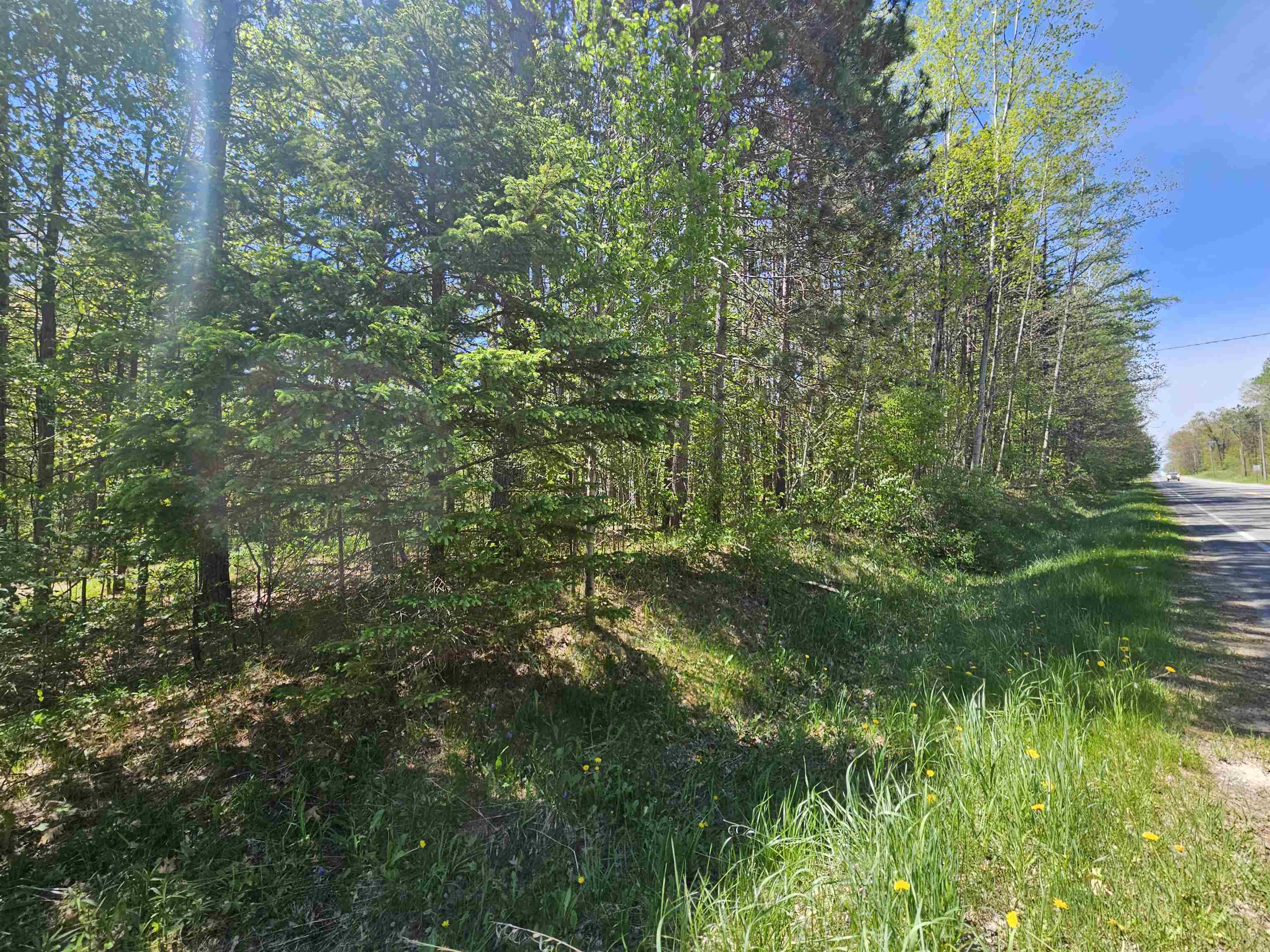 50208507--36